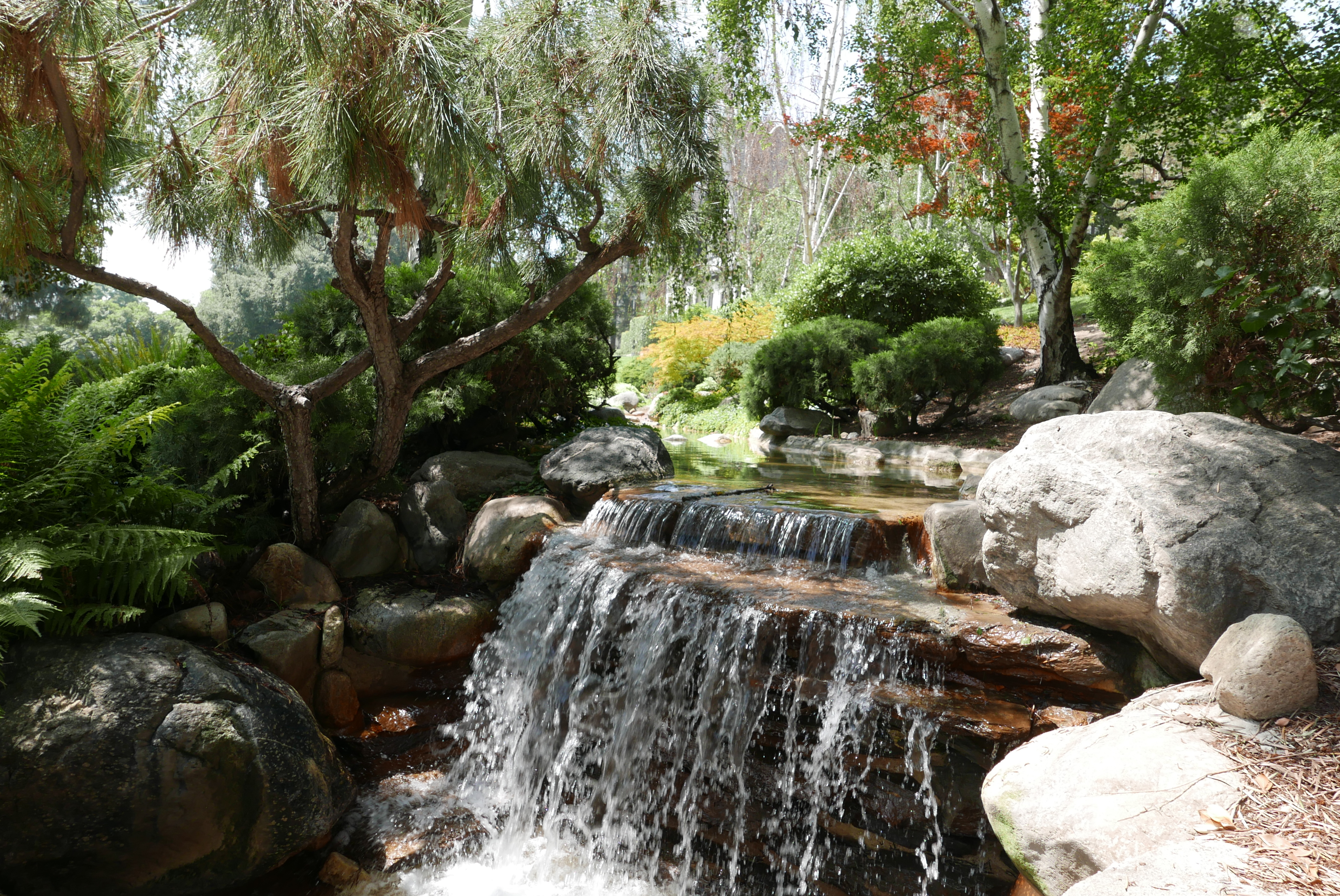 Ambassador Gardens offers a beautiful interlude just outside Villas' new homes in Pasadena.